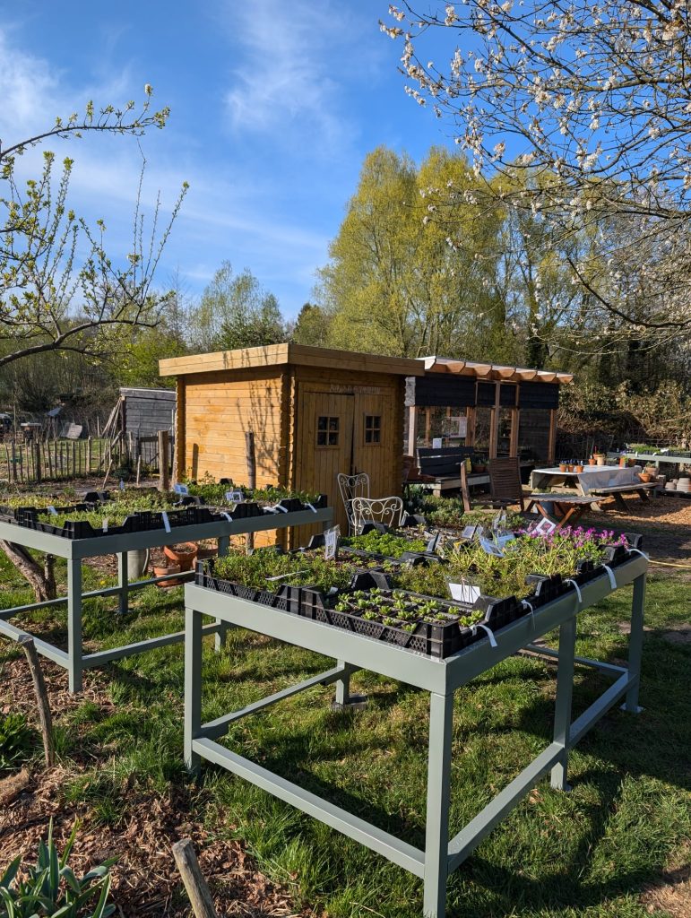 Koninginnetuin - zaaitafels met plantjes